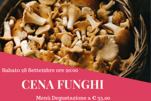 funghi facebook funghi facebook